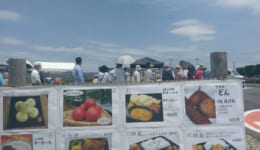 IMAG0838