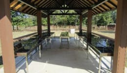 城山公園画像1