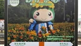 オケちゃん3