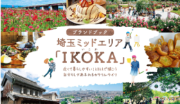 IKOKA1