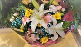 DSC07284 (2)