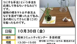 自主事業チラシ（苔玉教室）