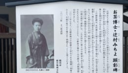 09E670AA-