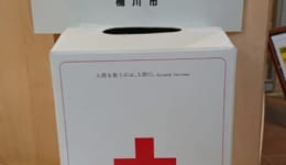 島村義援金画像