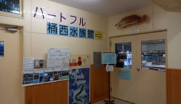水族館5